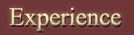 Experience